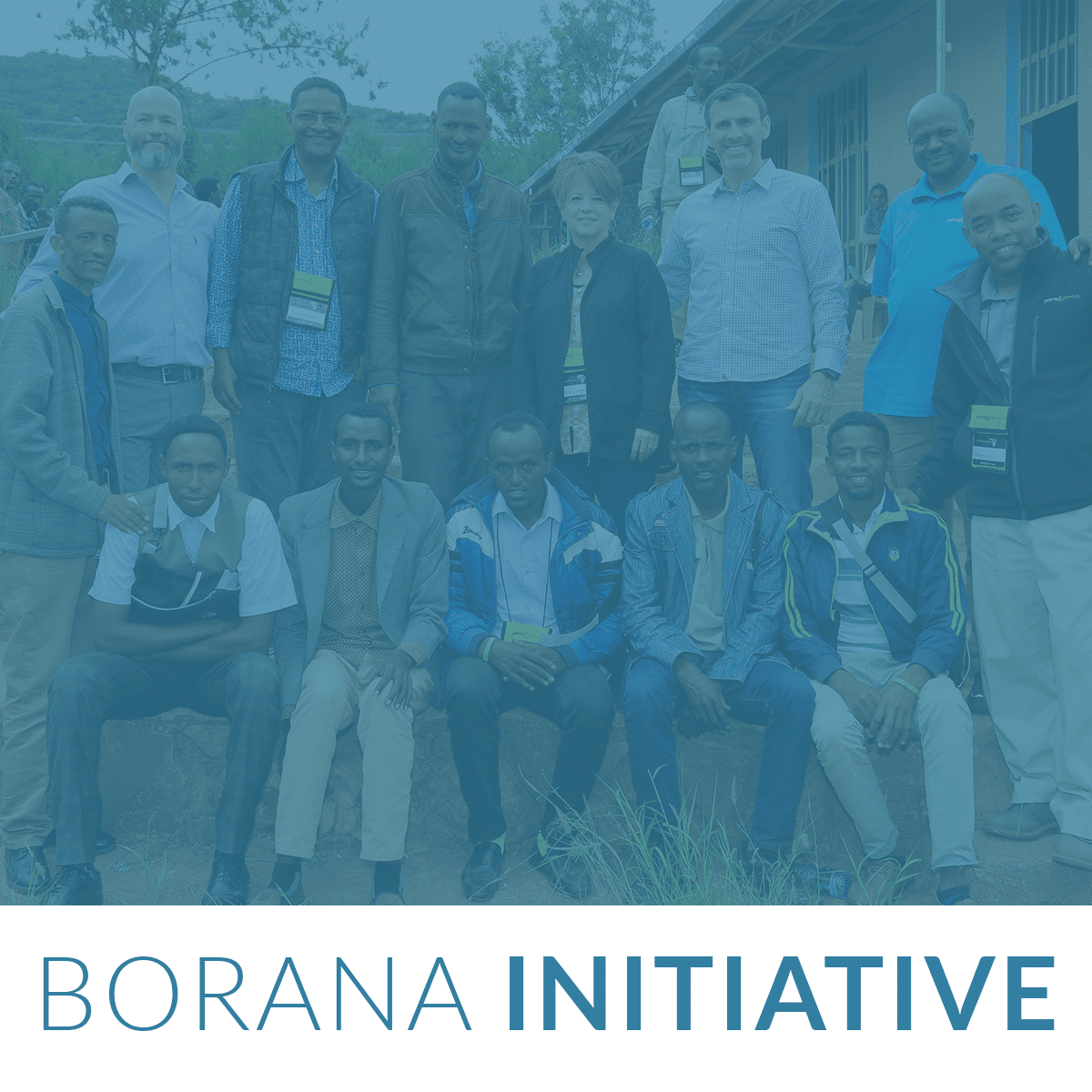 borana-initiative-4937769
