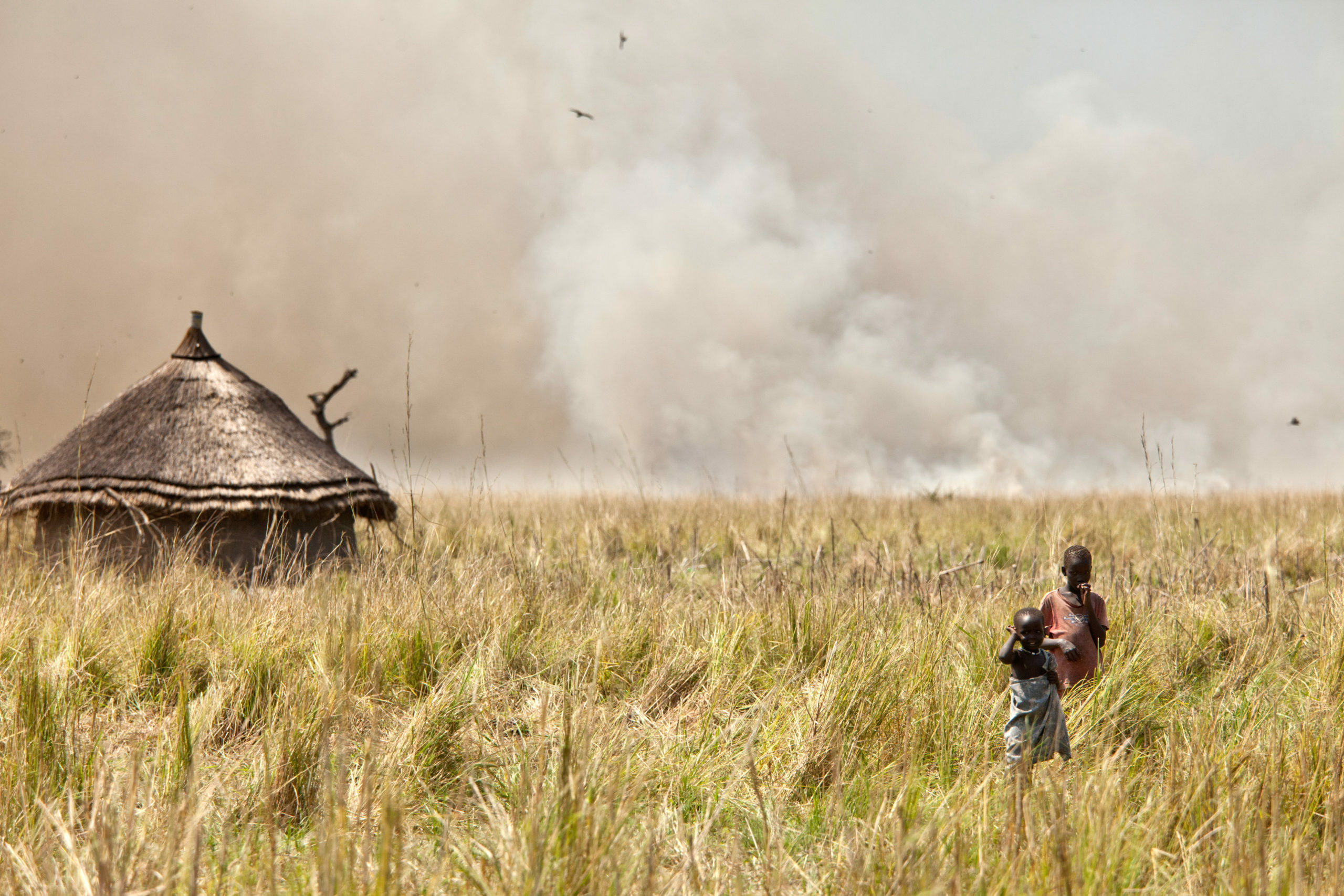 sudan-0763-scaled-7020482