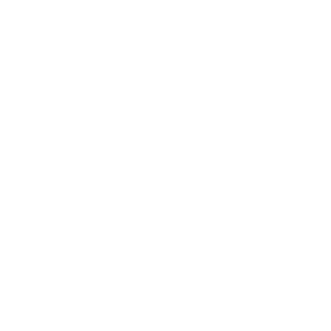 An icon representing a medical plus sign with heart inside.