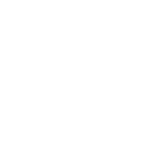 An icon representing a flower.