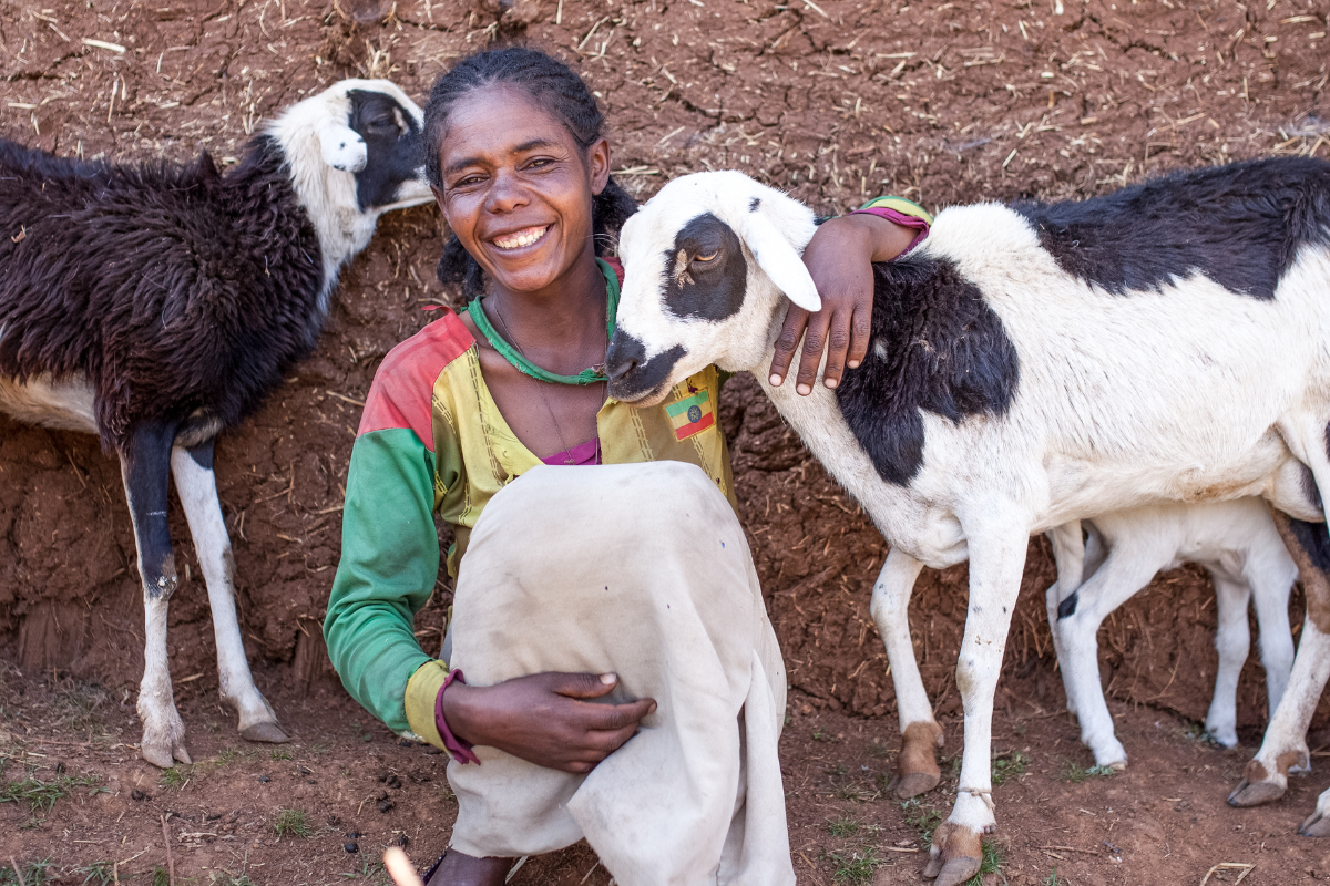 Woman, smiling at the camera, surrounded with goats