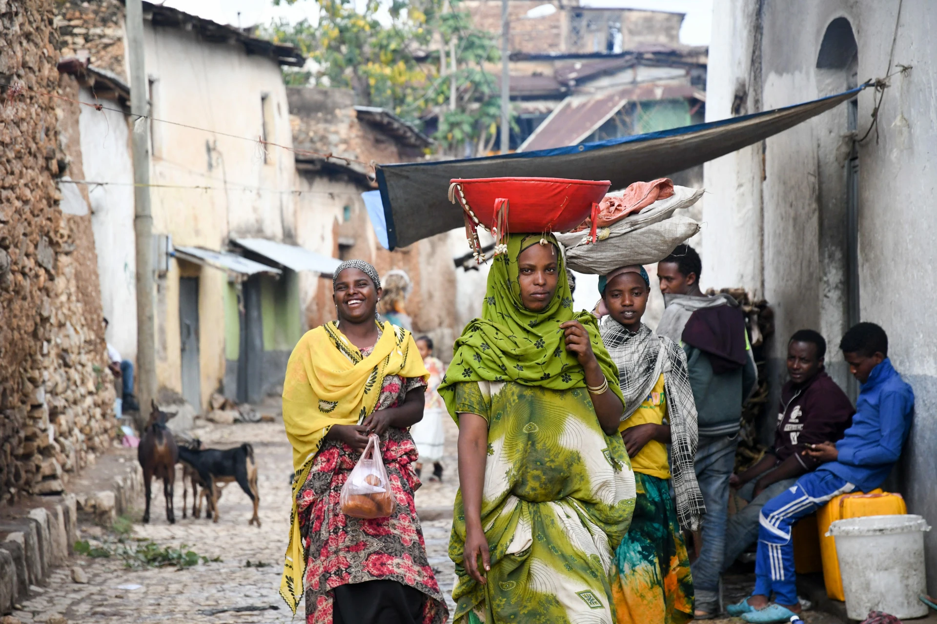 dsc_3257-scaled-1087950