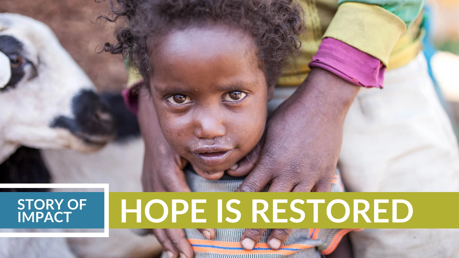 Children are Protected