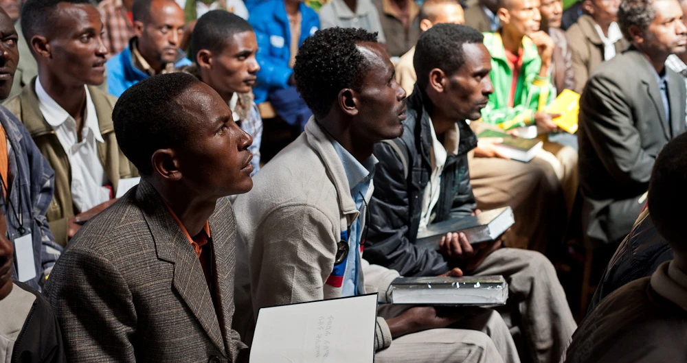 Petros Network Translation Project