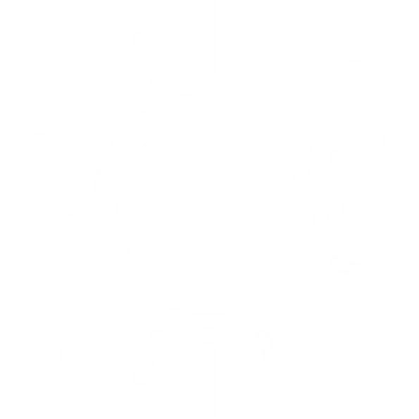 A cross icon inside a circle