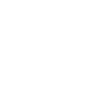 An icon representing a flower.