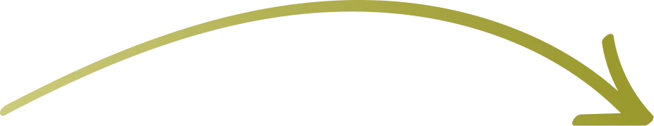 church-planting-petros-network-trips-Arrow left-down-green