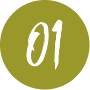 church-planting-petros-network-trips-step-1-green