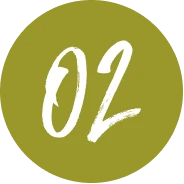 church-planting-petros-network-trips-step-2-green