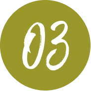 church-planting-petros-network-trips-step-3-green