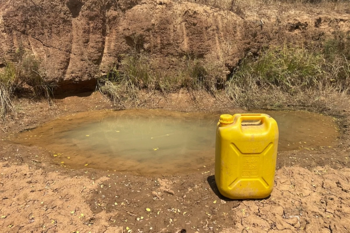 The Puddle and the Promise