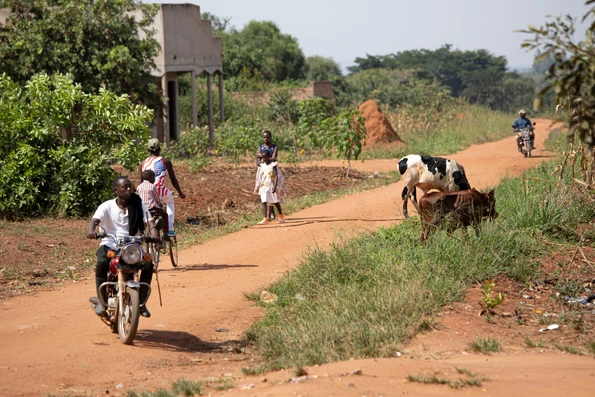From Refugee to Church Planter: Seeking the Good of the Community God Has Given Us